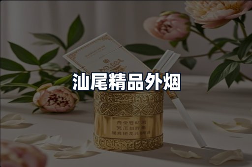 汕尾精品外烟